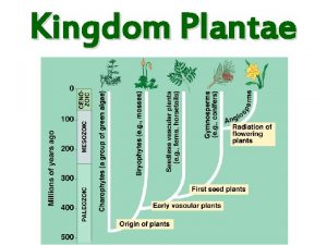 Kingdom Plantae I Characteristics of All Plants A