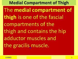 Medial Compartment of Thigh The medial compartment of
