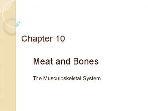 Chapter 10 Meat and Bones The Musculoskeletal System