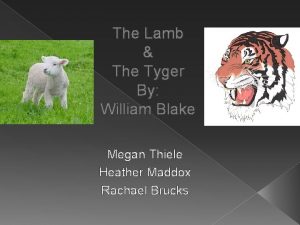 The Lamb The Tyger By William Blake Megan