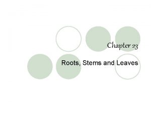 Chapter 23 Roots Stems and Leaves Learning Targets