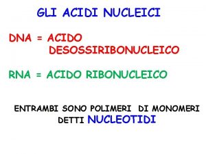 GLI ACIDI NUCLEICI DNA ACIDO DESOSSIRIBONUCLEICO RNA ACIDO