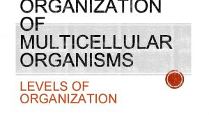 LEVELS OF ORGANIZATION ATOMS smallest units that possess