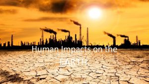 Human Impacts on the EARTH The Extinction Crisis