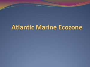 Atlantic Marine Ecozone Landscape This ecozone only touches