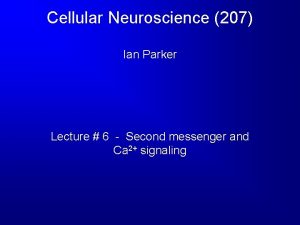 Cellular Neuroscience 207 Ian Parker Lecture 6 Second