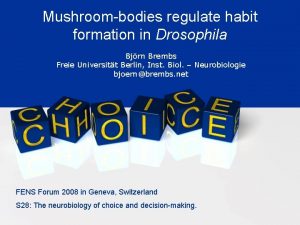 Mushroombodies regulate habit formation in Drosophila Bjrn Brembs