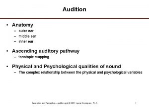 Audition Anatomy outer ear middle ear inner ear