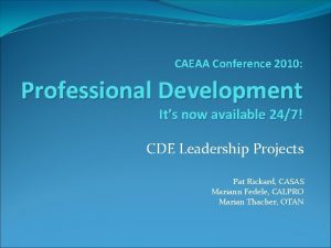 CAEAA Conference 2010 Professional Development Its now available