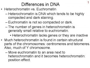 Differences in DNA 1 Heterochromatin vs Euchromatin Heterochromatin