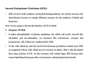 Smooth Endoplasmic Reticulum SER SER involves both synthesis