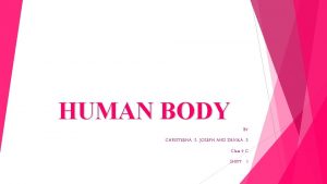 HUMAN BODY BY CHRISTEENA S JOSEPH AND DEVIKA