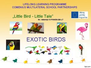 LIFELONG LEARNING PROGRAMME COMENIUS MULTILATERAL SCHOOL PARTNERSHIPS Little