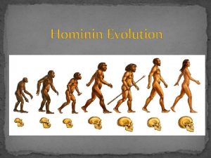 Hominin Evolution Humans share an extinct common ancestor
