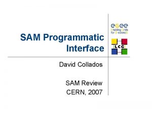 SAM Programmatic Interface David Collados SAM Review CERN
