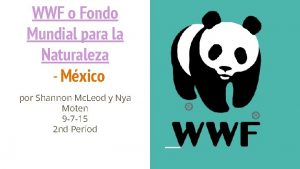 WWF o Fondo Mundial para la Naturaleza Mxico