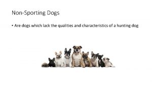 NonSporting Dogs Are dogs which lack the qualities