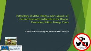 Palynology of Mo SU Ridge a new exposure