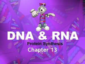 DNA RNA Protein Synthesis Chapter 13 DNA Deoxyribonucleic
