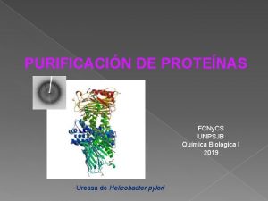 PURIFICACIN DE PROTENAS FCNy CS UNPSJB Qumica Biolgica