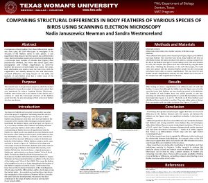 TWU Department of Biology Denton Texas MAT Program