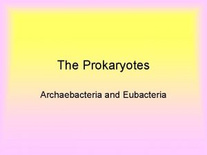 The Prokaryotes Archaebacteria and Eubacteria Prokaryotes bacteria are