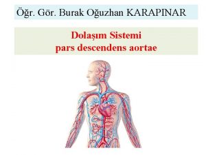 r Gr Burak Ouzhan KARAPINAR Dolam Sistemi pars