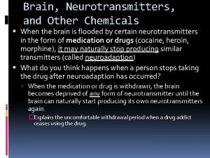 Brain Neurotransmitters and Other Chemicals When the brain