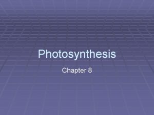 Photosynthesis Chapter 8 Autotrophs vs Heterotrophs Autotrophs Plants