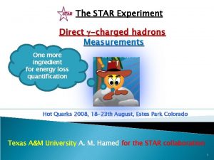 The STAR Experiment Direct charged hadrons Measurements One