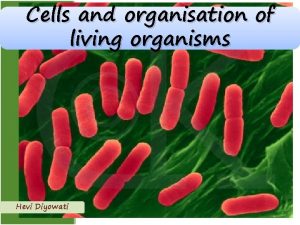 Cells and organisation of living organisms Hevi Diyowati