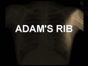 ADAMS RIB Adams Rib 19 And this is