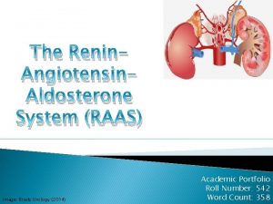 The Renin Angiotensin Aldosterone System RAAS Image Brady
