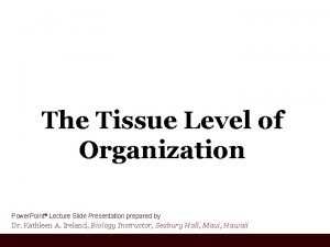 The Tissue Level of Organization Power Point Lecture