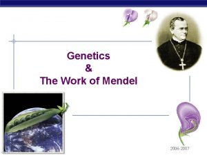 Genetics The Work of Mendel AP Biology 2006