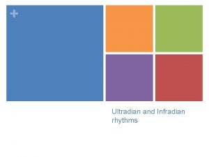 Ultradian and Infradian rhythms Starter Activity ABC Exam