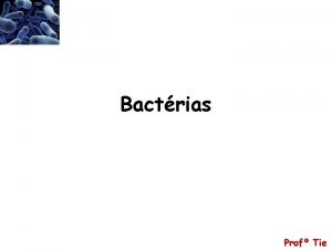 Bactrias Prof Tie Domnios Prof Tie Organizao Bacteriana