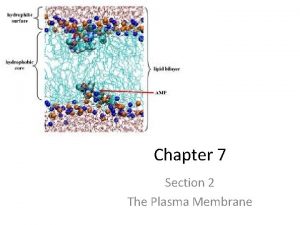 Chapter 7 Section 2 The Plasma Membrane Plasma