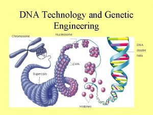 DNA Technology and Genetic Engineering Nucleosome Chromosome DNA