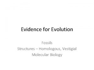 Evidence for Evolution Fossils Structures Homologous Vestigial Molecular
