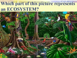 Which part of this picture represents an ECOSYSTEM