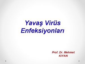 Yava Virs Enfeksiyonlar Prof Dr Mehmet KIYAN Yava