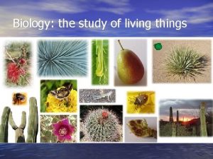 Biology the study of living things All things