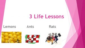 3 Life Lessons Lemons Ants Rats The fruit