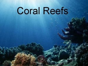 Coral Reefs Facts about Coral Reefs Largest living