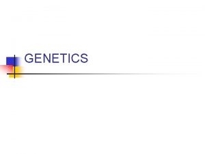 GENETICS Homologous Chromosomes n Two genes for one