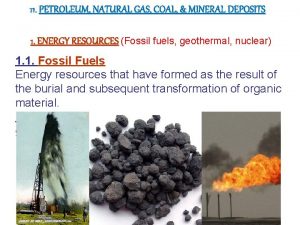 11 PETROLEUM NATURAL GAS COAL MINERAL DEPOSITS 1