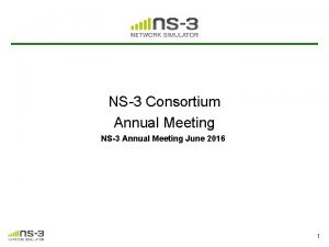 NS3 Consortium Annual Meeting NS3 Annual Meeting June