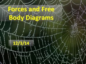 Forces and Free Body Diagrams 12314 Contact Forces