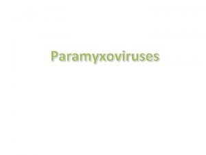 Paramyxoviruses Introduction The paramyxoviruses include the most important